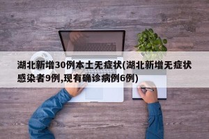 湖北新增30例本土无症状(湖北新增无症状感染者9例,现有确诊病例6例)