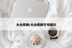 大众辉腾/大众辉腾字母图片
