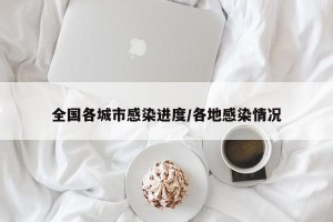 全国各城市感染进度/各地感染情况